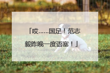 哎……国足！范志毅昨晚一度语塞！